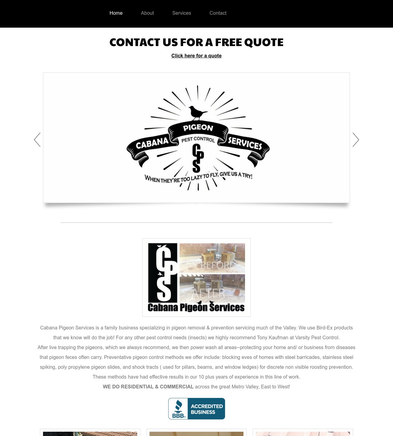 Phoenix Wildlife Control