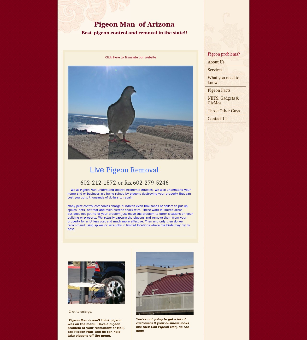 Phoenix Wildlife Control