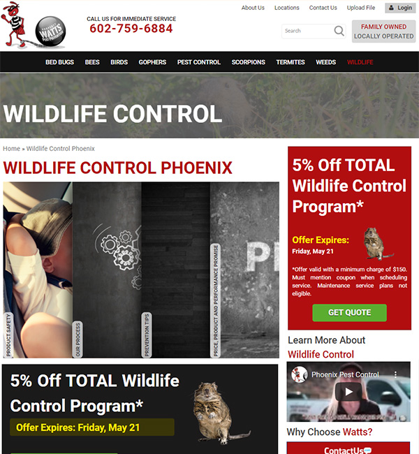 Phoenix Wildlife Control